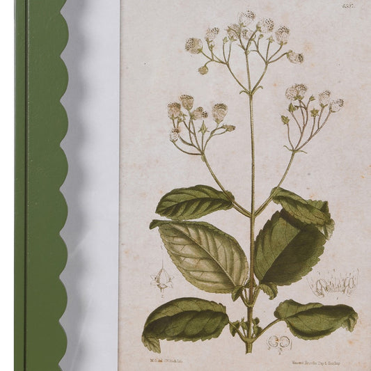 Green Scalloped Floral Prints (set of 2)