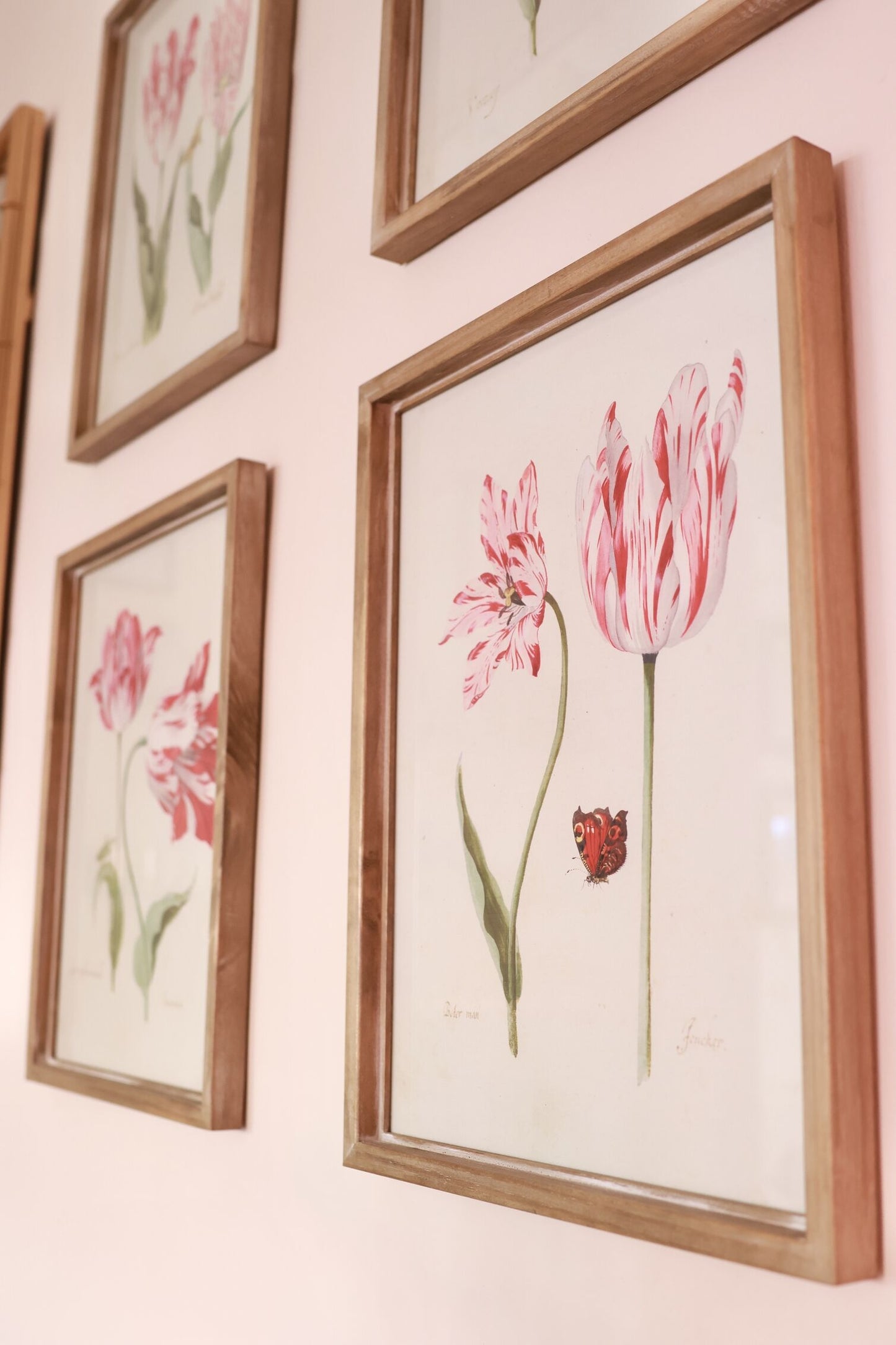Framed Fuchsia Pink Tulip Prints (Set of 4)
