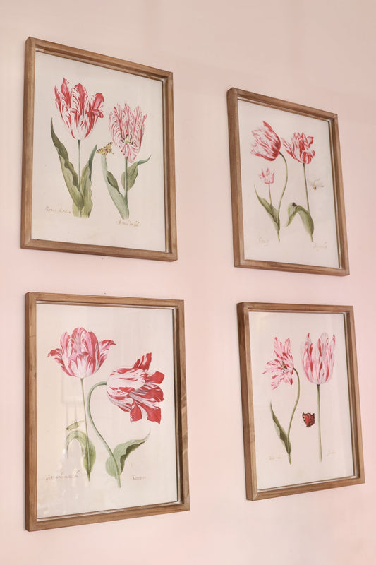 Framed Fuchsia Pink Tulip Prints (Set of 4)