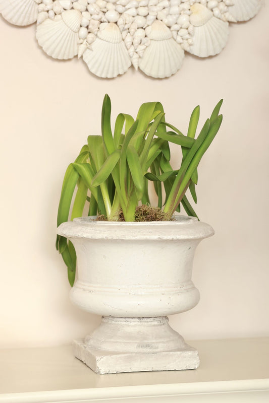 Urn Footed Planter