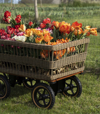 Kingham Wicker Basket Garden Wagon