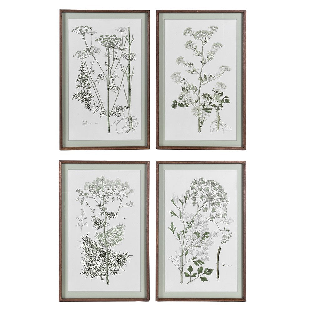 Green Botanical Wildflower Pictures (Set of 4)