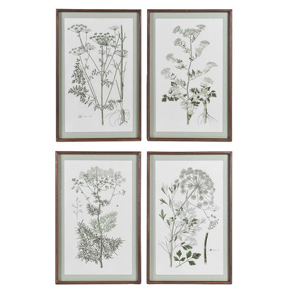 Green Botanical Wildflower Pictures (Set of 4)