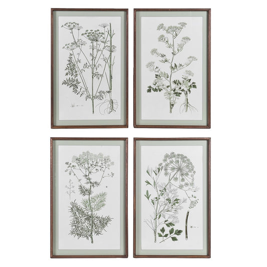 Green Botanical Wildflower Pictures (Set of 4)