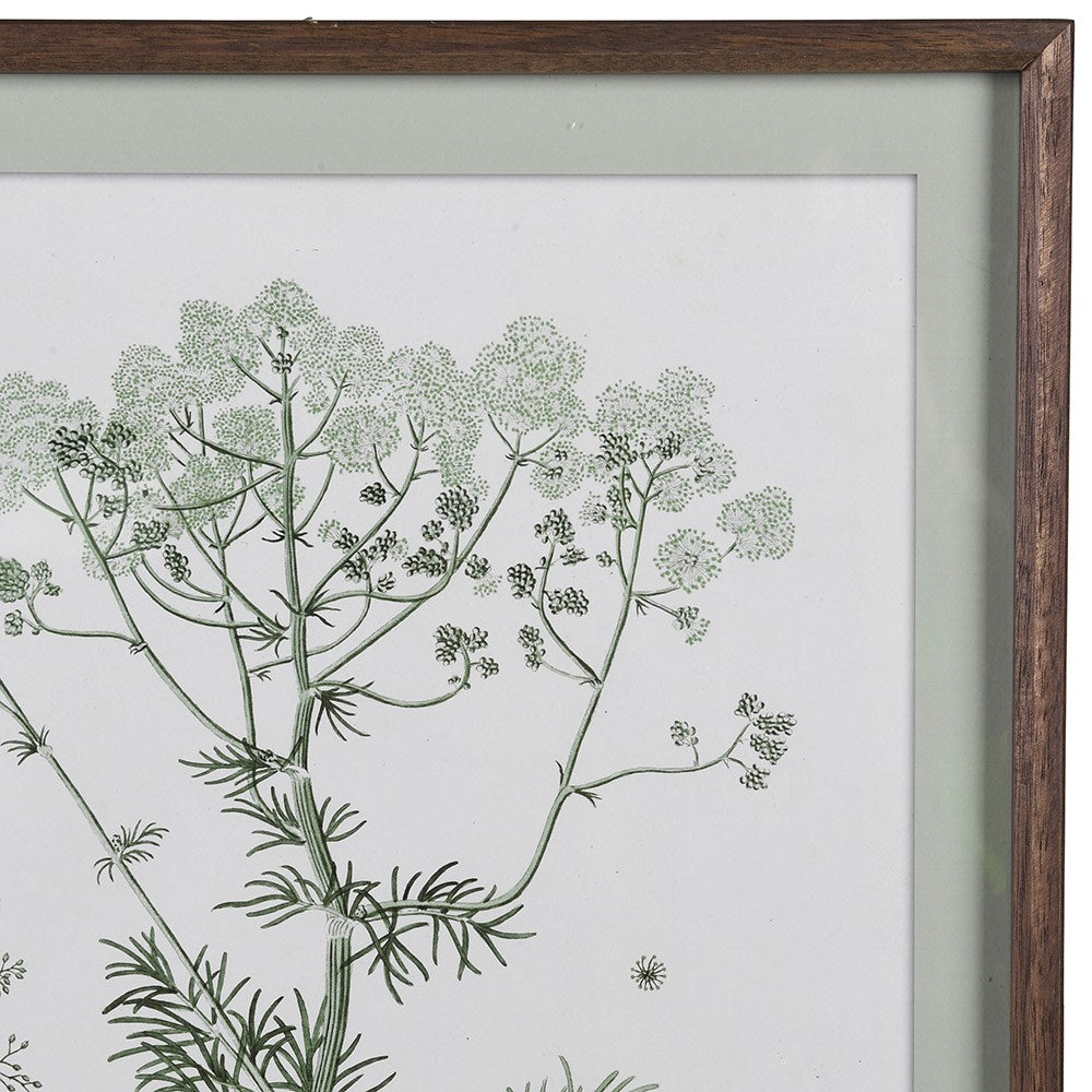 Green Botanical Wildflower Pictures (Set of 4)