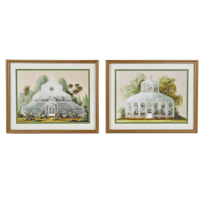 Botanical Conservatory Pictures (Set of 2)