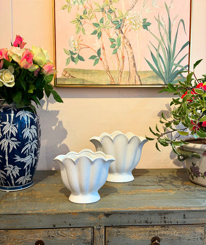 Shell Vase (Large)