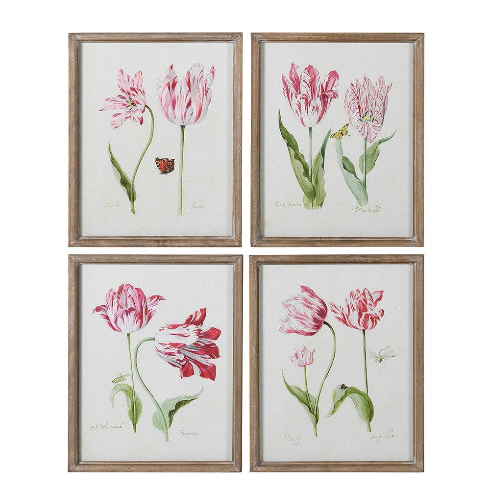 Framed Fuchsia Pink Tulip Pictures (Set of 4)