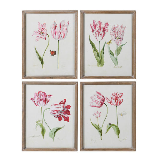 Framed Fuchsia Pink Tulip Pictures (Set of 4)