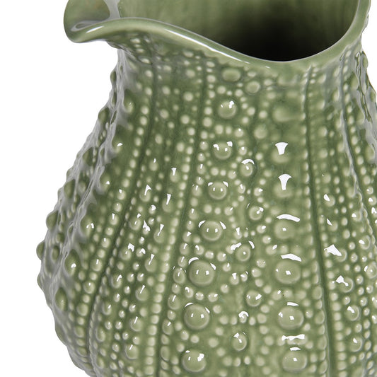 Sea Urchin Water Jug in Sage
