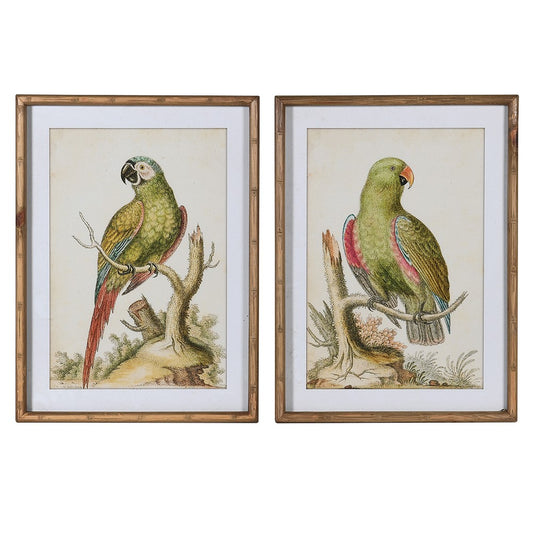 Framed Green Parrot Chinoiserie Pictures (Set of 2)