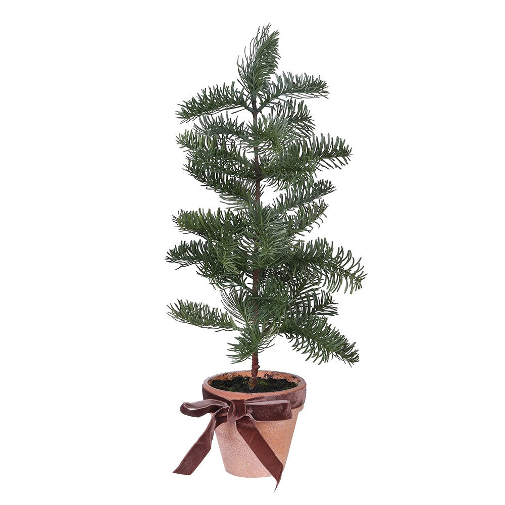 Christmas Noble Pine Tree in Pot