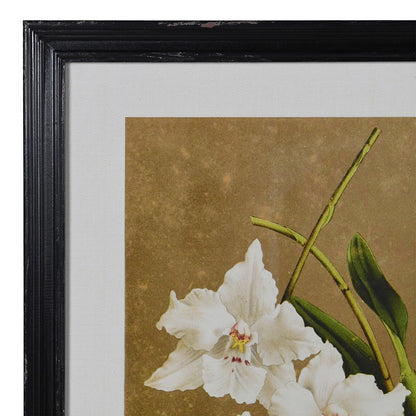 Framed White Floral Pictures (set of 4)