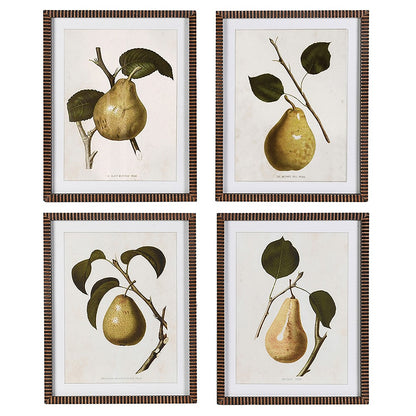 Pear Pictures (set of 4)