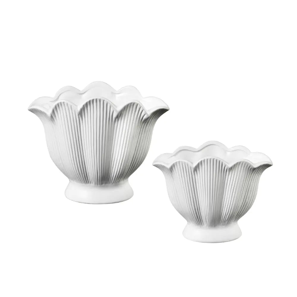Shell Vase (Small)