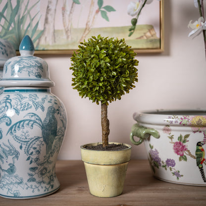 Potted Boxwood Ball Tree