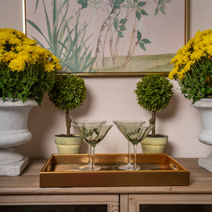 Potted Boxwood Ball Tree