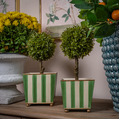 Green & Gold Striped Planters (Set of 2)