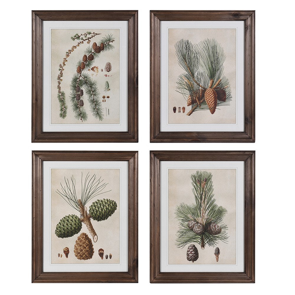 Pinecone Framed Pictures (Set of 4)