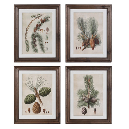 Pinecone Framed Pictures (Set of 4)
