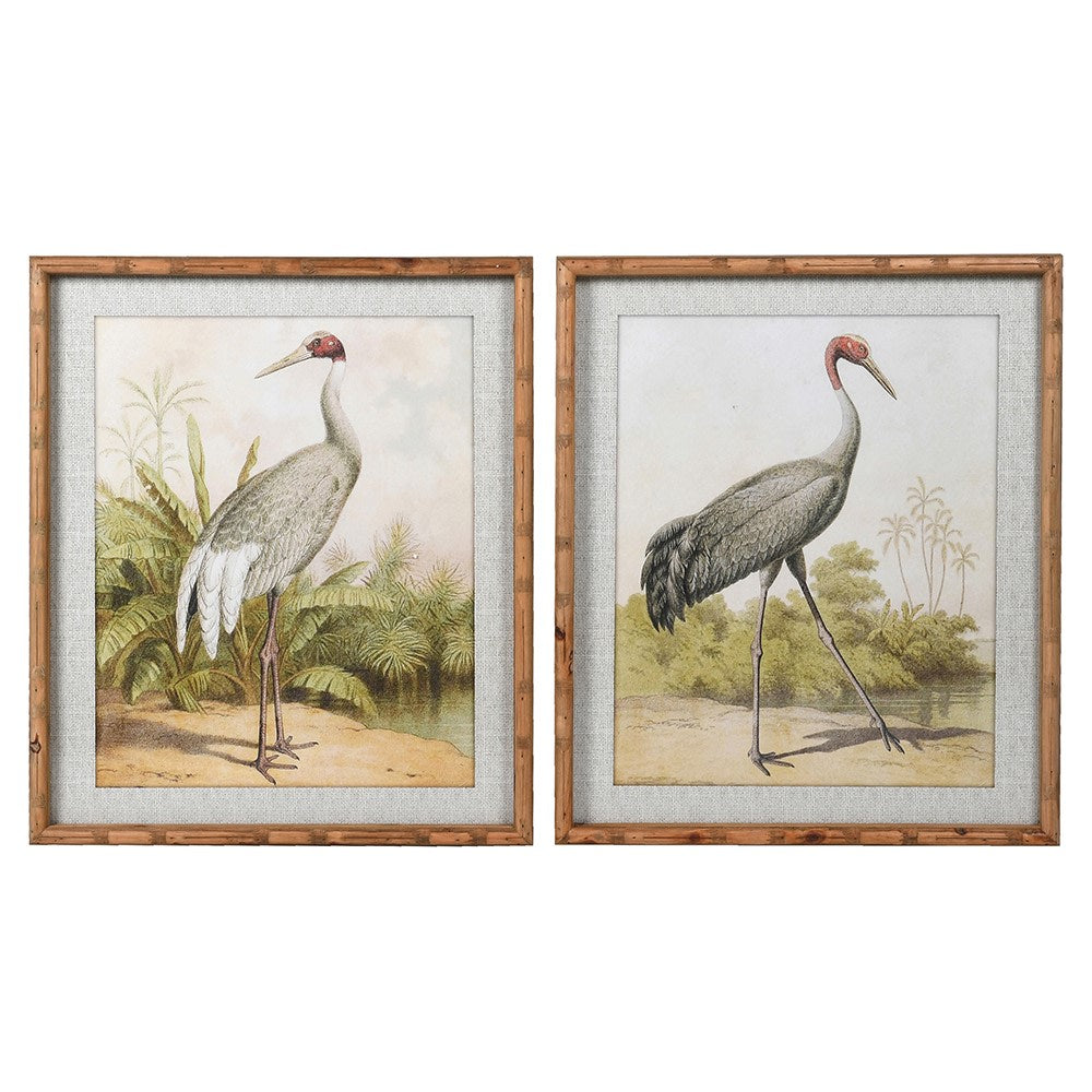 Framed Stork Pictures (Set of 2)