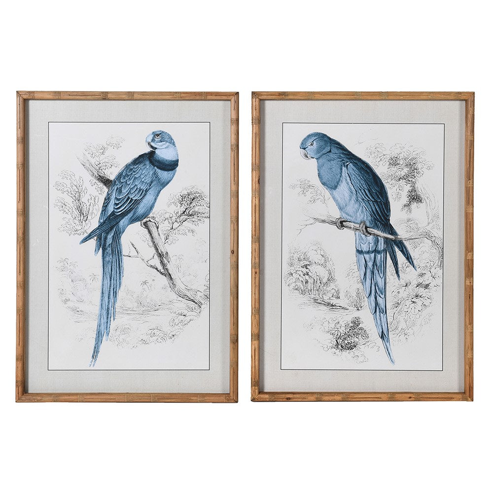 Framed Blue Parrot Chinese Chinoiserie (Set of 2)